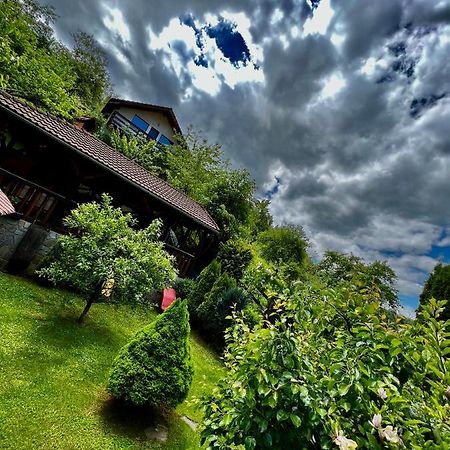 Cabana Vanatorilor Poiana Mărului Buitenkant foto