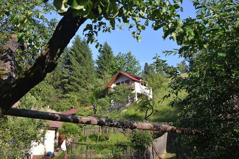 Cabana Vanatorilor Poiana Mărului Buitenkant foto