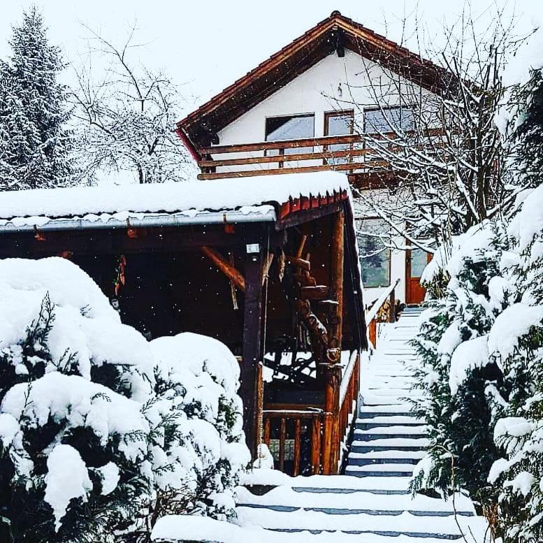 Cabana Vanatorilor Poiana Mărului Buitenkant foto