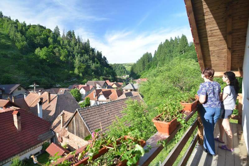 Cabana Vanatorilor Poiana Mărului Buitenkant foto
