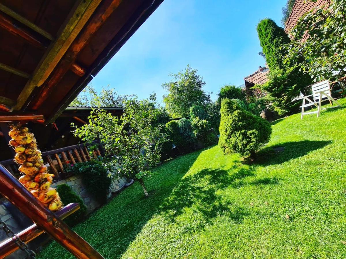 Cabana Vanatorilor Poiana Mărului Buitenkant foto