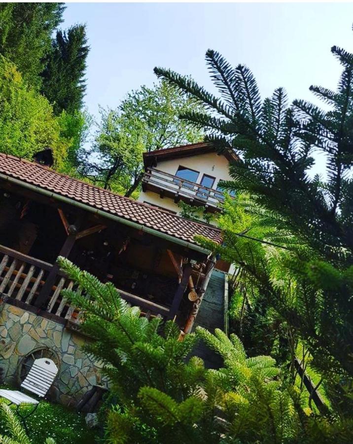 Cabana Vanatorilor Poiana Mărului Buitenkant foto