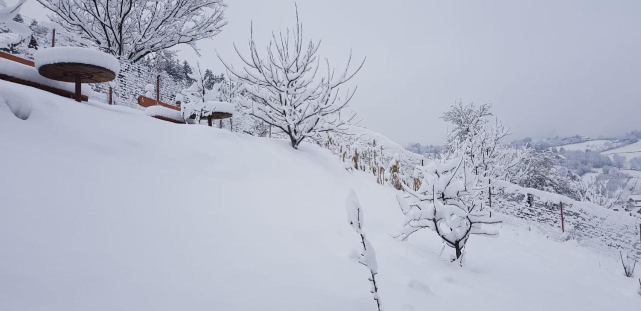 Cabana Vanatorilor Poiana Mărului Buitenkant foto