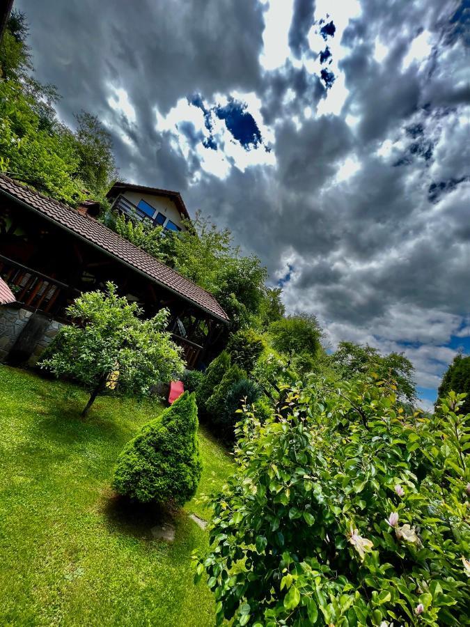 Cabana Vanatorilor Poiana Mărului Buitenkant foto