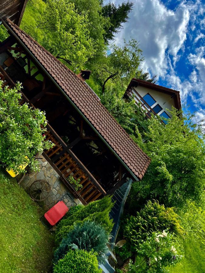 Cabana Vanatorilor Poiana Mărului Buitenkant foto